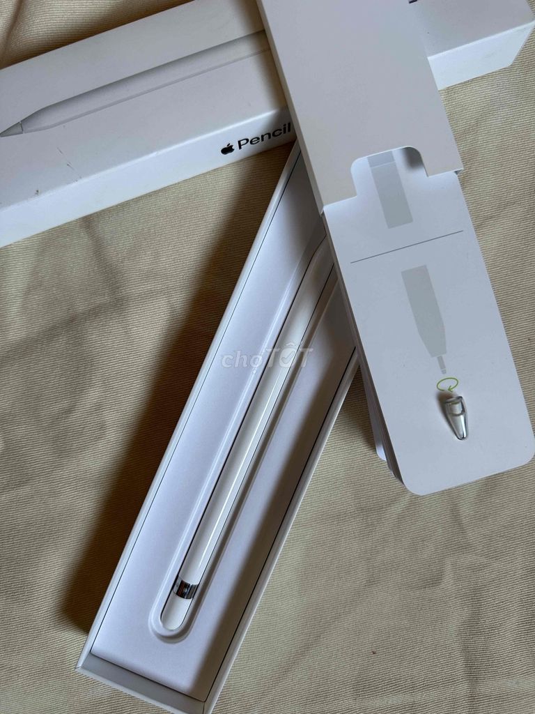 Apple Pen 1