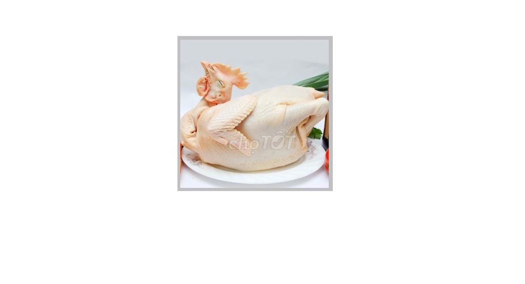 Gà ta nguyên con. Mua bán Gà tại Thành phố Thủ Đức Tp Hồ Chí Minh được đăng bởi Phạm Công Bình hình 1