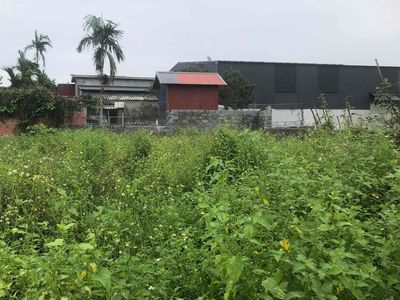 Đất ở 80m2 ngang 5m KCN Tiên Cường, Tiên Lãng chỉ hơn 500 triệu đồng. Mua bán đất tại Huyện Tiên Lãng Hải Phòng được đăng bởi Nguyễn Văn Thành