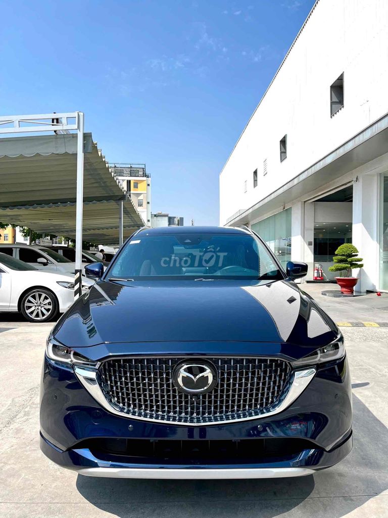 Ảnh số 2