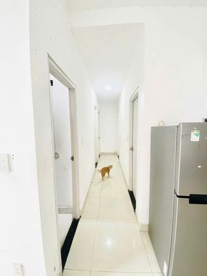 Chung cư Thế Kỉ 21, Ung Văn Khiêm, Bình Thạnh: 67m2, 2pn, WC, 10tr/th.