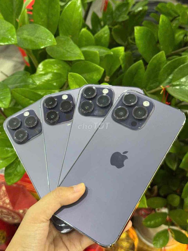 14prm zin NẬU XỚ ĐƯA 7tr còn lại góp 1089k 6 tháng. Mua bán Điện thoại tại Quận Thanh Khê Đà Nẵng được đăng bởi BÔN APPLE 19 Bàu Hạc 3 hình 1