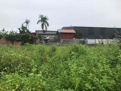 Đất thổ cư 79m2 Đại Công, gần KCN Tiên Cường 546 triệu. Mua bán đất tại Huyện Tiên Lãng Hải Phòng được đăng bởi Nguyễn Văn Thành