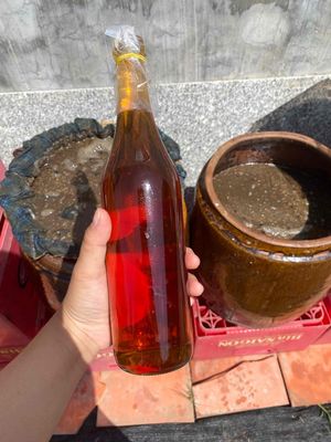 nước mắm cá đồng. Mua bán Đồ ăn, thực phẩm và các loại khác tại Huyện Tháp Mười Đồng Tháp được đăng bởi Thúy Naka