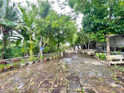 BÁN 2500m2 ĐẤT ĐỐI DIỆN ĐHCT3/2 TT CẦN THƠ. Mua bán đất tại Quận Ninh Kiều Cần Thơ được đăng bởi Nguyễn Thành Công