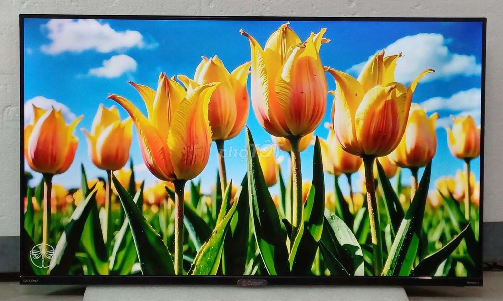 Tivi wifi Casper 43 inch full viền zin đẹp. Mua bán Tivi, Âm thanh tại Quận Ninh Kiều Cần Thơ được đăng bởi Luật Nguyễn hình 1