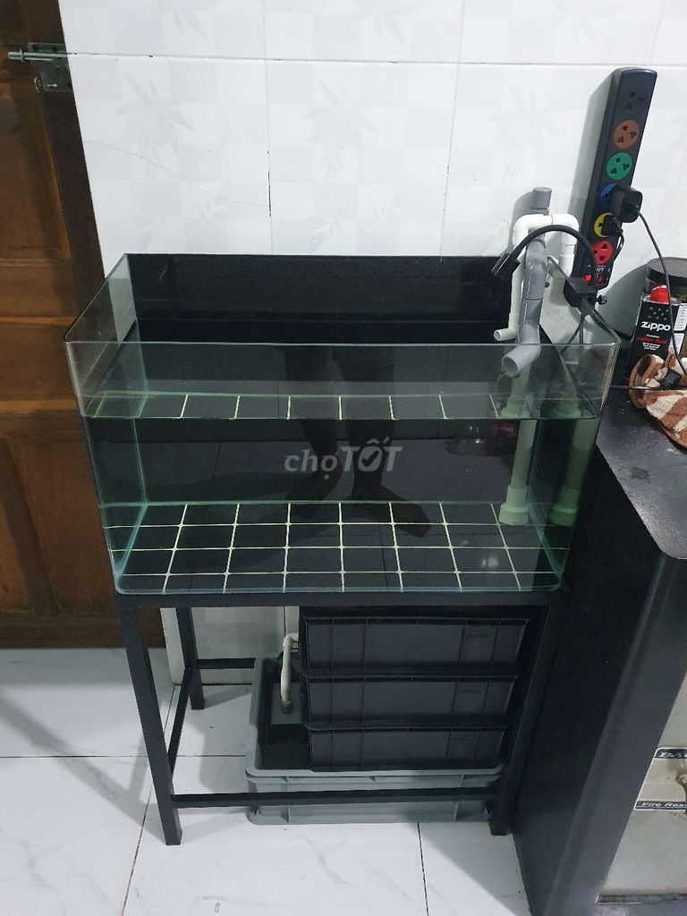 Combo Hồ cá cảnh 6x3x3 99%. Mua bán Phụ kiện, Thức ăn, Dịch vụ tại Huyện Bến Lức Long An được đăng bởi Phan Hoang Phuc hình 1
