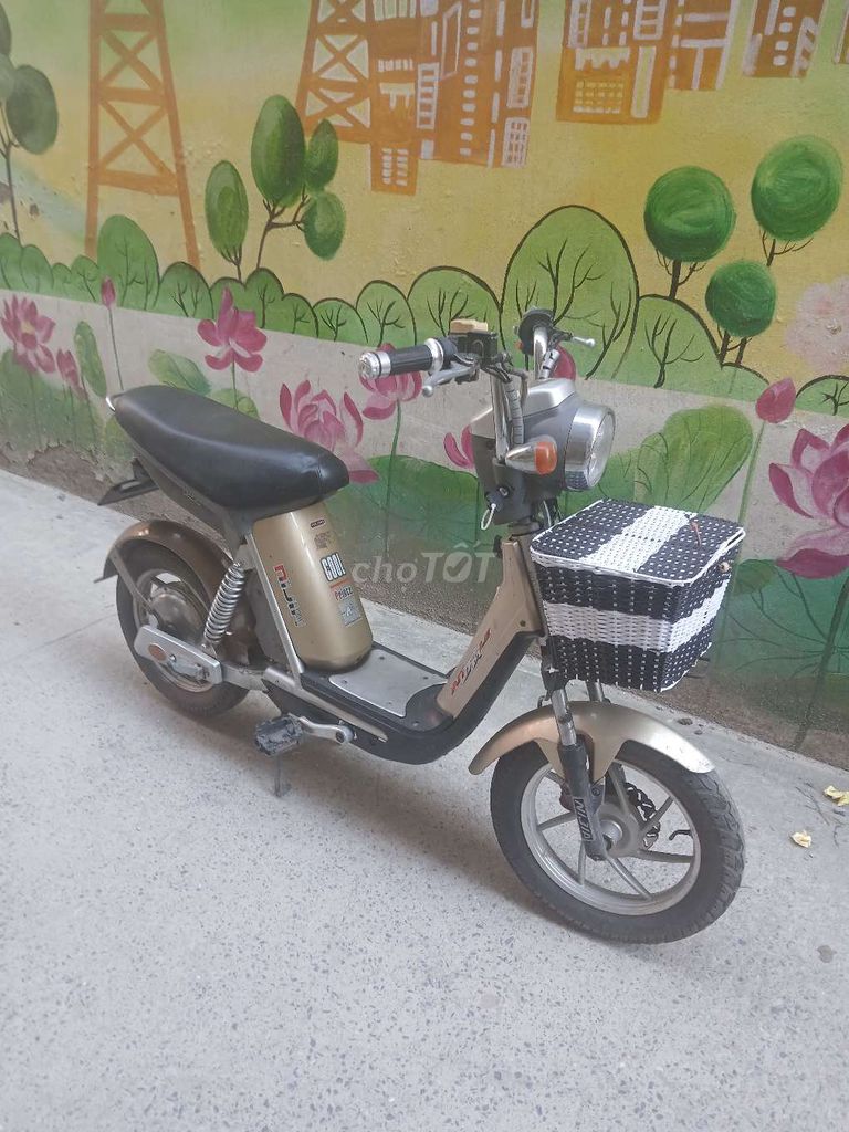 Xe đạp điện. Mua bán Xe điện tại Quận Ba Đình Hà Nội được đăng bởi Quang hình 1