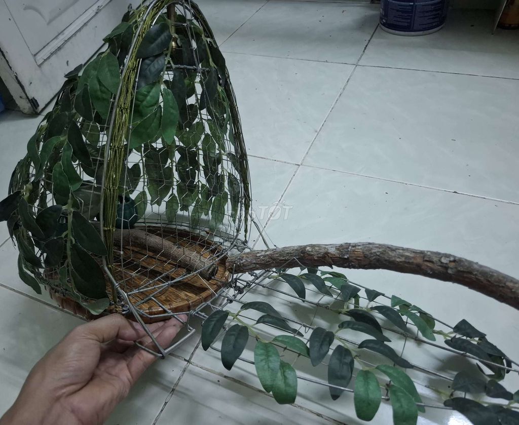 Lồng bẫy chim cu gáy. Mua bán Phụ kiện, Thức ăn, Dịch vụ tại Thành phố Thủ Đức Tp Hồ Chí Minh được đăng bởi Luong Gja Long hình 1
