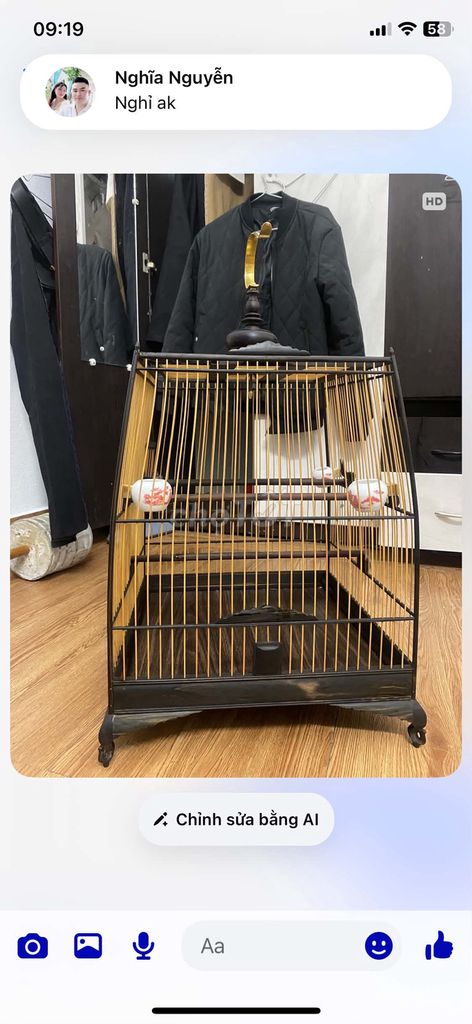 chao mao. Mua bán Chim tại Quận Cẩm Lệ Đà Nẵng được đăng bởi phan van hanh hình 1