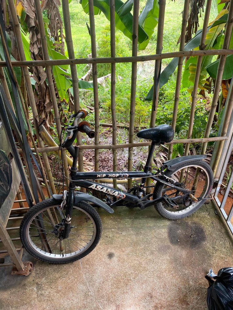 xe đạp asama. Mua bán Xe đạp tại Thành phố Bà Rịa Bà Rịa - Vũng Tàu được đăng bởi Luân Nguyễn hình 2