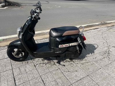 xe máy zin vip bs65 ngây chủ. Mua bán Xe máy tại Quận Ninh Kiều Cần Thơ được đăng bởi đầy cửa hàng cầu hưng lợi nk cần thơ