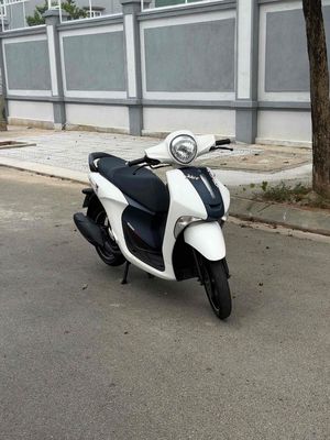 Yamaha Janus màu Trắng