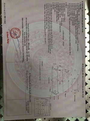 hạ giá bán gấp nhà CĂN HỘ DỊCH VỤ. trung tâm quận 5