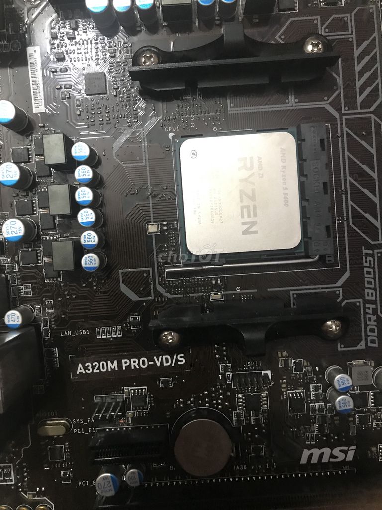 ryzen 5 5600 a320m pro