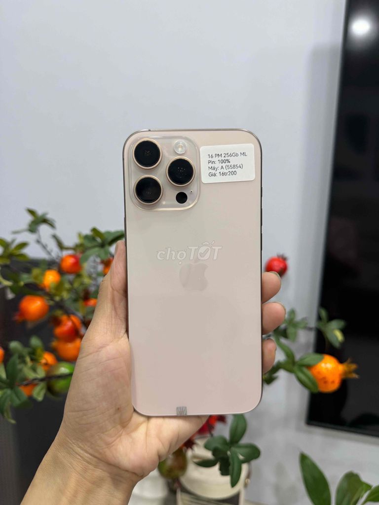 iPhone 16 Promax 256G Vàng P100 Đẹp 99 Full. Mua bán Điện thoại tại Huyện Hóc Môn Tp Hồ Chí Minh được đăng bởi Nguyễn Thu hình 1