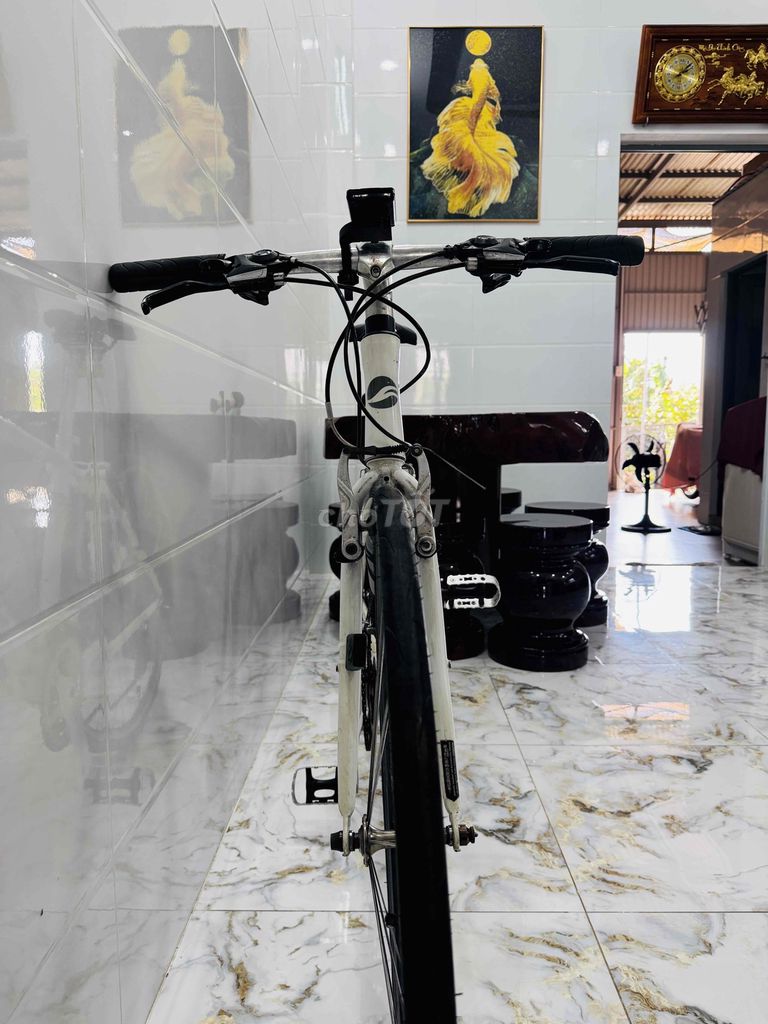 Xe Đạp Giant Touring. Mua bán Xe đạp tại Thành phố Châu Đốc An Giang được đăng bởi Hoàng Định hình 1