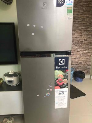 Tủ lạnh Electrolux 260l đời 2019
