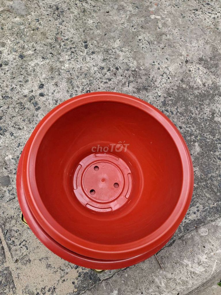 Chậu trồng cây Nhựa Đỏ, Đen Mới. Mua bán Cây cảnh, đồ trang trí tại Quận 4 Tp Hồ Chí Minh được đăng bởi Hạnh hình 1