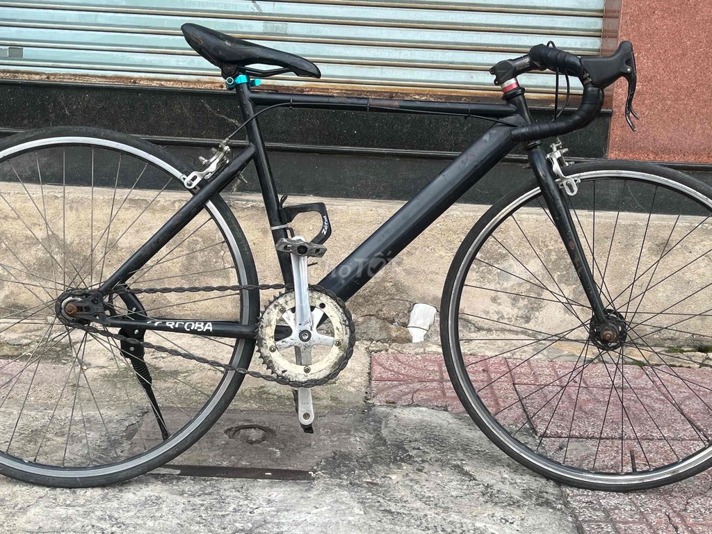 xe đạp  fixed gear