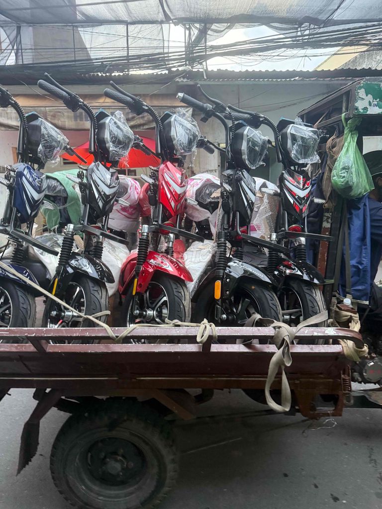 xe điện giá sỉ lẻ tận kho không âu trung gian. Mua bán Xe điện tại Huyện Châu Thành Đồng Tháp được đăng bởi TRẦNĐẠT hình 2