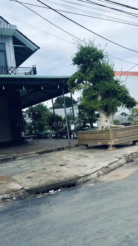 Chính chủ cần bán đất nhơn thành 115m², lộ giới 13m, giá 730 triệu Chính chủ cần bán đất nhơn thành 115m², lộ giới 13m, giá 730 triệu