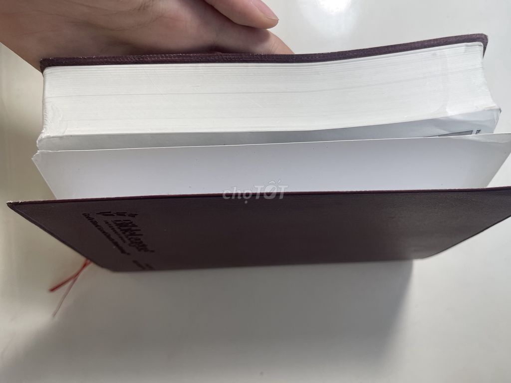 Sách Thánh Kinh bản phổ thông . Mua bán Sách tại Thành phố Nha Trang Khánh Hòa được đăng bởi Thảo Lam hình 1