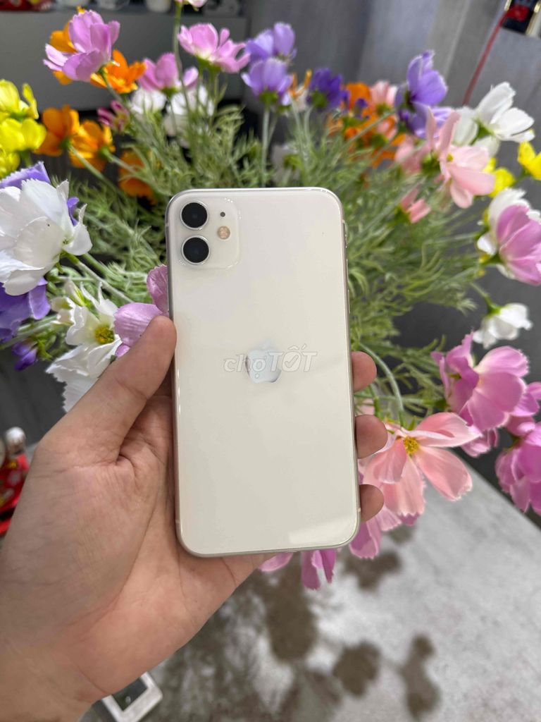 iPhone 11 256GB Trắng🍏CÓ TRẢ GÓP. Mua bán Điện thoại tại Quận Thanh Khê Đà Nẵng được đăng bởi HD STORE hình 1