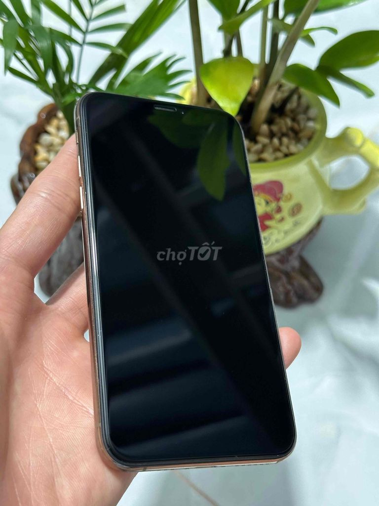 iPhone XS 64GB Gold FULL BOX iOS 12. Mua bán Điện thoại tại Quận Ninh Kiều Cần Thơ được đăng bởi Tuấn Tài hình 1