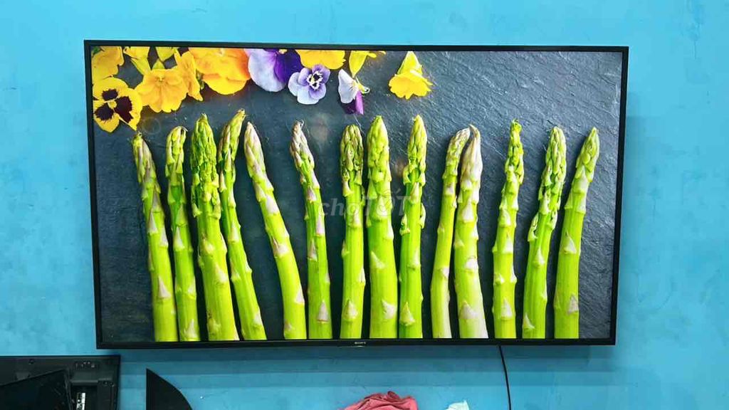 Tivi Sony Smart Android TV 55 inch. Mua bán Tivi, Âm thanh tại Thành phố Thủ Đức Tp Hồ Chí Minh được đăng bởi Điện Tử Minh hình 1