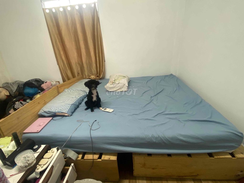 Pallet giường 1m8x2m. Mua bán Giường, chăn ga gối nệm tại Quận Ninh Kiều Cần Thơ được đăng bởi Đặng thị thu thi hình 1