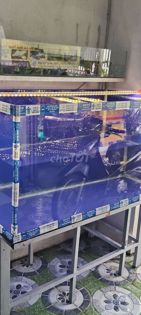 Hồ Cá full đầy đủ.. Mua bán Phụ kiện, Thức ăn, Dịch vụ tại Huyện Trảng Bàng Tây Ninh được đăng bởi CÁ CẢNH TB hình 3