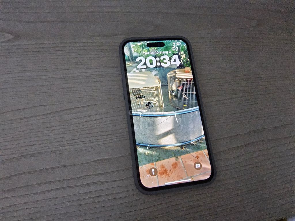 Apple iPhone 16 Plus Xanh LLA. Mua bán Điện thoại tại Quận Bình Thạnh Tp Hồ Chí Minh được đăng bởi Thái tuấn Nguyễn hình 1