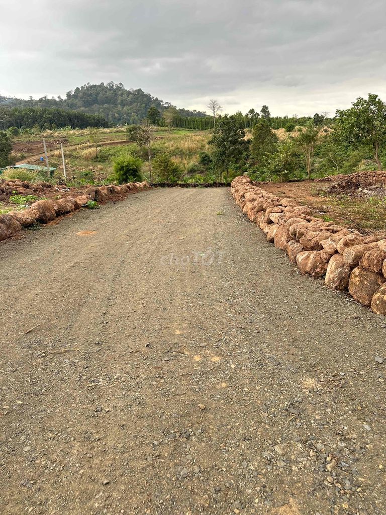 BÁN ĐẤT THÔN 3 - CƯ ÊBUR (GIÁP THÔN 8) - GIÁ CHỈ: 199 TRIỆU