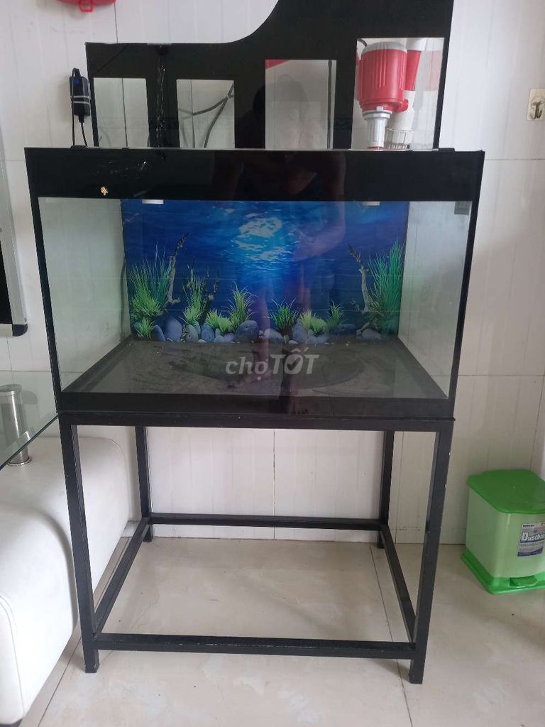 Hồ cá 60x40x40 cm. Mua bán Phụ kiện, Thức ăn, Dịch vụ tại Thị xã Bến Cát Bình Dương được đăng bởi ho duong hình 1