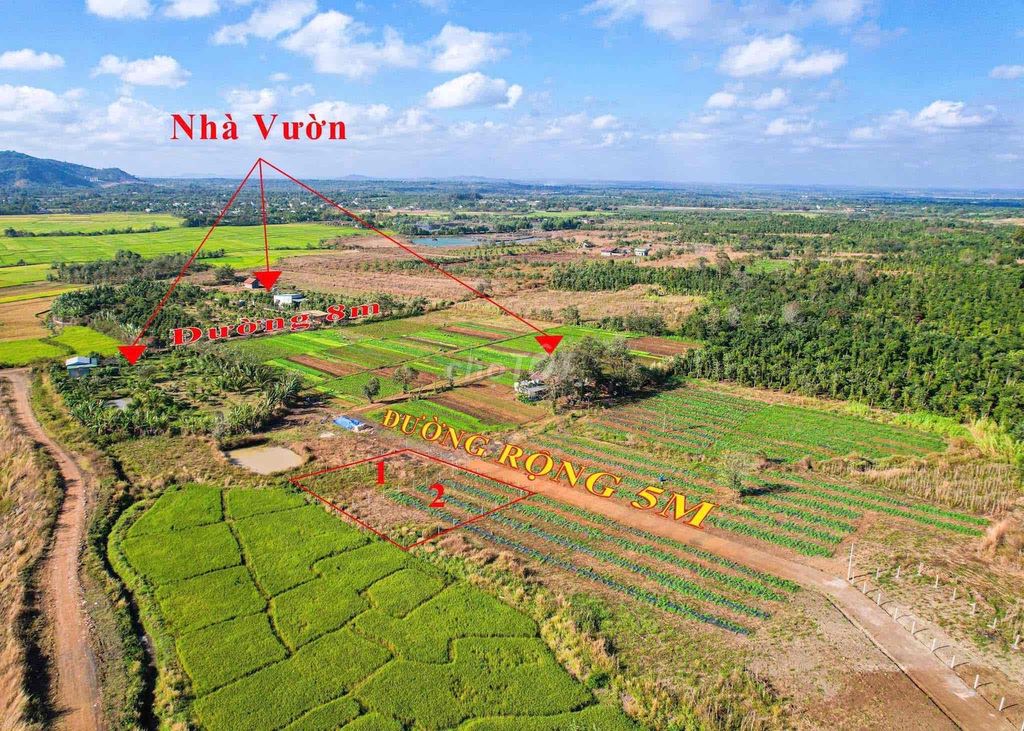 CHỈ 185 TRIỆU - BÁN LÔ ĐẤT CÁCH TRUNG TÂM TP.BMT 11KM