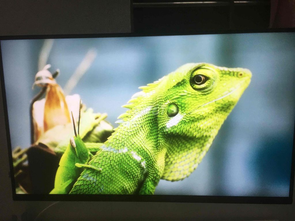 Màn hình Xiaomi A27Qi 27 inch 2K 120Hz. Mua bán Phụ kiện (Màn hình, Chuột...) tại Thành phố Châu Đốc An Giang được đăng bởi Tên chưa cung cấp hình 1