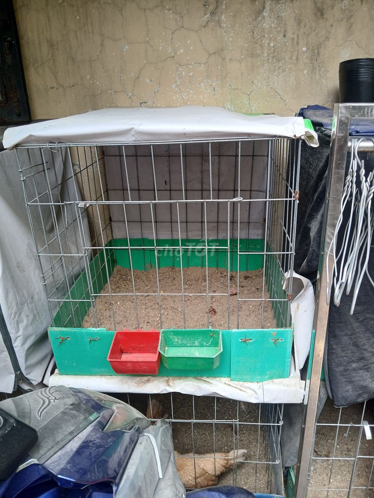 Chuồng gà 60v. Mua bán Phụ kiện, Thức ăn, Dịch vụ tại Quận Tân Bình Tp Hồ Chí Minh được đăng bởi nguyen tan lan hình 1