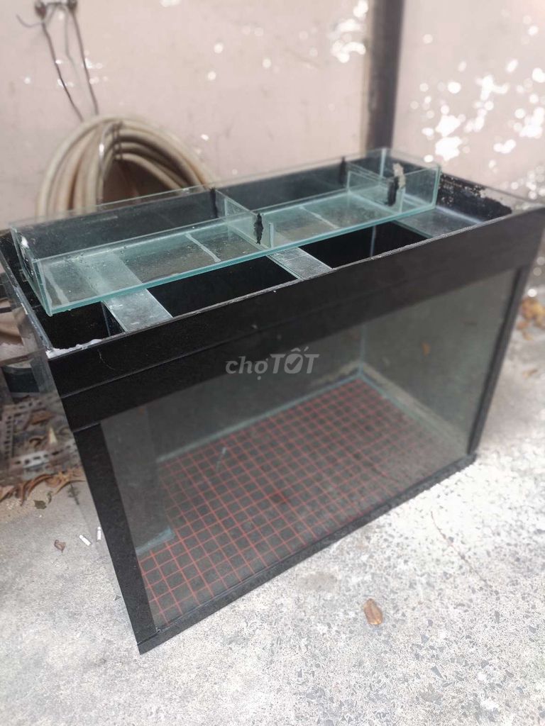 hồ cá. Mua bán Phụ kiện, Thức ăn, Dịch vụ tại Quận 12 Tp Hồ Chí Minh được đăng bởi Bảo hình 1