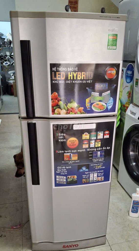 Tủ lạnh Sanyo 185l không bám tuyết. Mua bán Tủ lạnh tại Quận 8 Tp Hồ Chí Minh được đăng bởi Shop tủ lạnh máy giặt hình 1