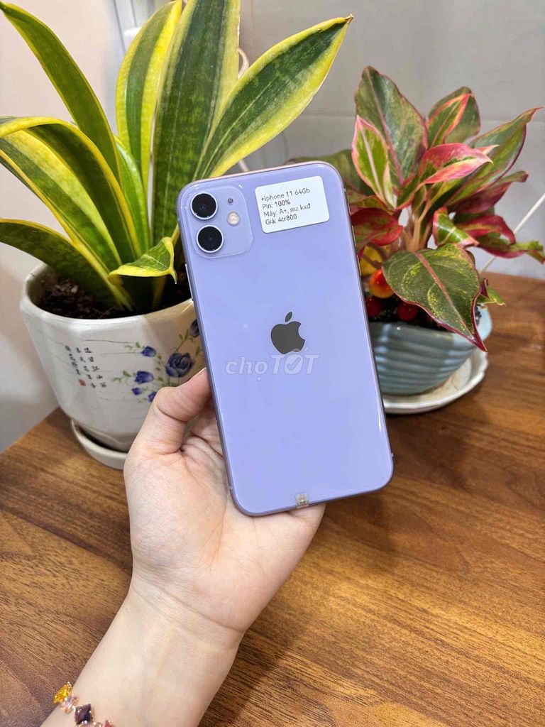 iPhone 11 thường 64GB quốc tế màn thay zin đẹp 99. Mua bán Điện thoại tại Huyện Hóc Môn Tp Hồ Chí Minh được đăng bởi SIRI STORE HCM hình 1