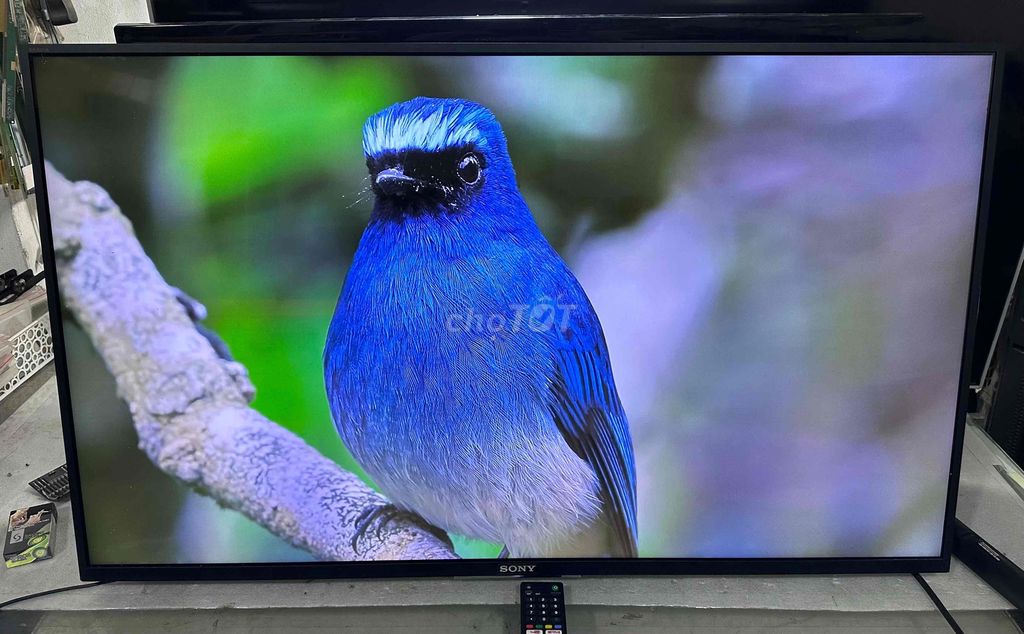 Tivi Sony 43 inch 4K Android Wifi. Mua bán Tivi, Âm thanh tại Quận Hoàng Mai Hà Nội được đăng bởi Tuấn Anh hình 1