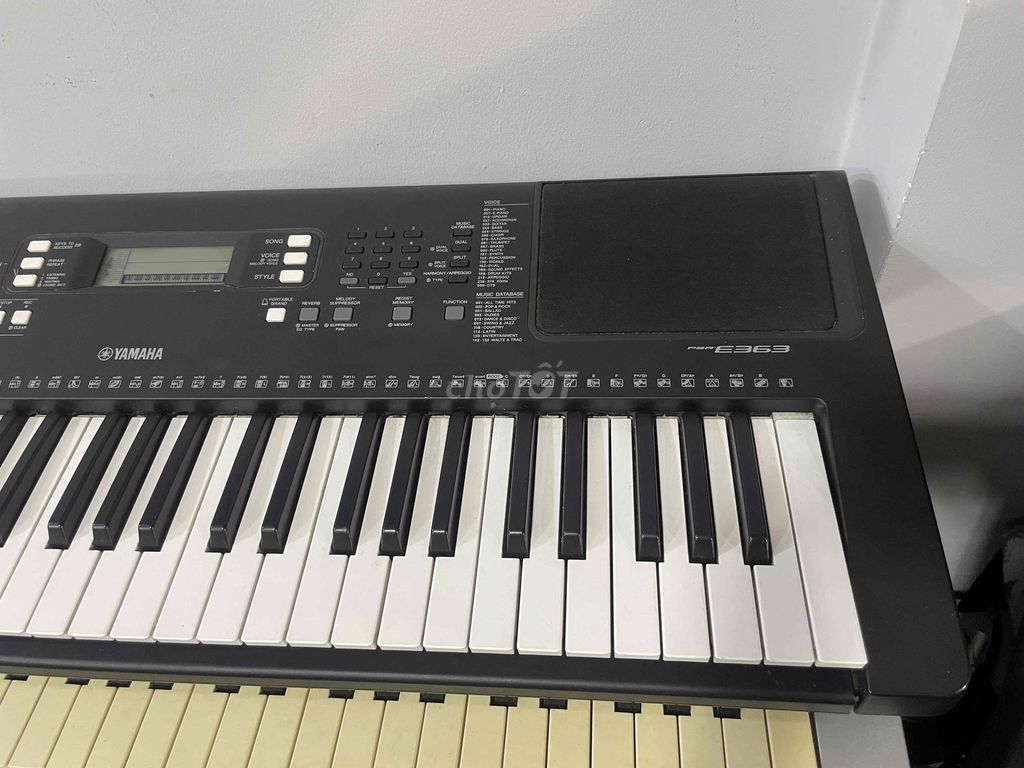 Organ yamaha E363 và 443