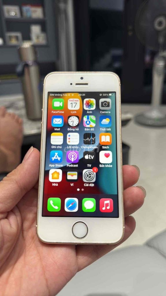 Apple iPhone SE Vàng Đã sử dụng. Mua bán Điện thoại tại Thành phố Nam Định Nam Định được đăng bởi Minh hình 1