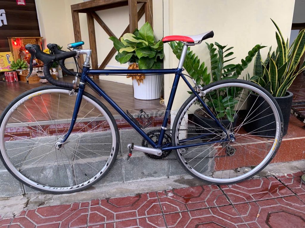 Xe đạp cỗ COLNAGO