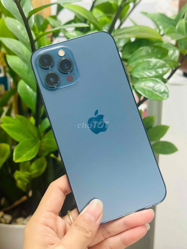 Apple iPhone 12 Pro Max 128GB Xanh. Mua bán Điện thoại tại Quận 10 Tp Hồ Chí Minh được đăng bởi Ngọng Store hình 1