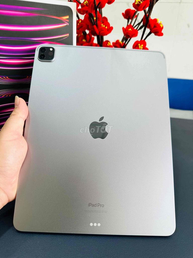 Ipad Pro M2 12.9inch 128Gb máy đẹp keng Fullbox