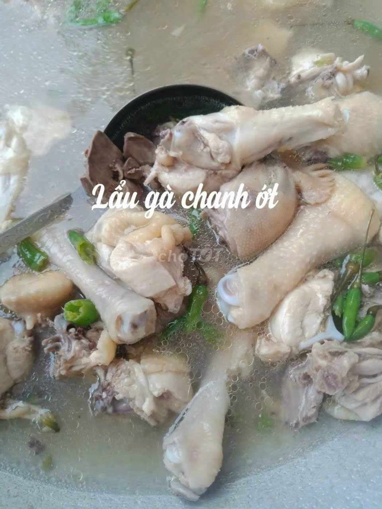 Lẩu gà chang ớt nguyên con