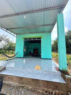 KẸT TIỀN BÁN GẤP LÔ ĐẤT 272m2 200 thổ cư, tặng nhà cấp 4. Mua bán đất tại Thành phố Dĩ An Bình Dương được đăng bởi Quang