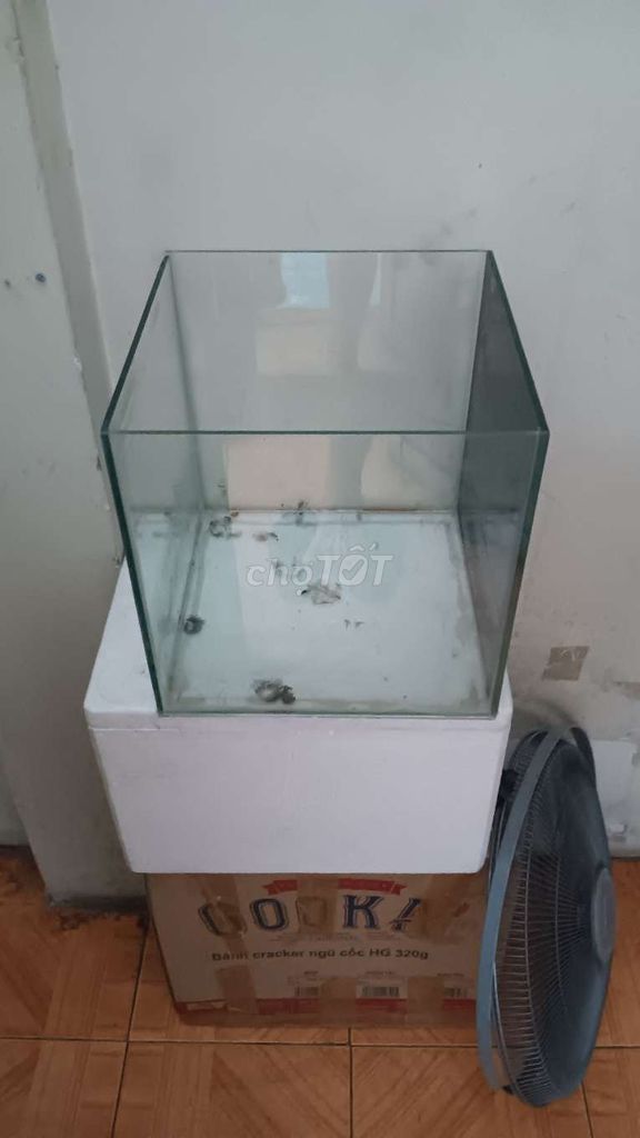 Bể cá cảnh Kính 30x30cm. Mua bán Phụ kiện, Thức ăn, Dịch vụ tại Quận 5 Tp Hồ Chí Minh được đăng bởi Tiến hình 1